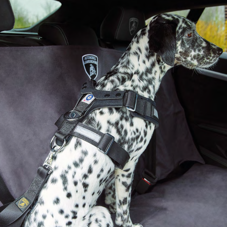 4ML061680 Lamborghini Urus Rear Seat Pet Protective Cover Animals Vehicle Protection Seat Covers