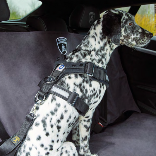 Lamborghini Urus Rear Pet Seat Protective Cover