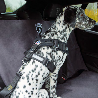 Lamborghini Pet Safety Belts