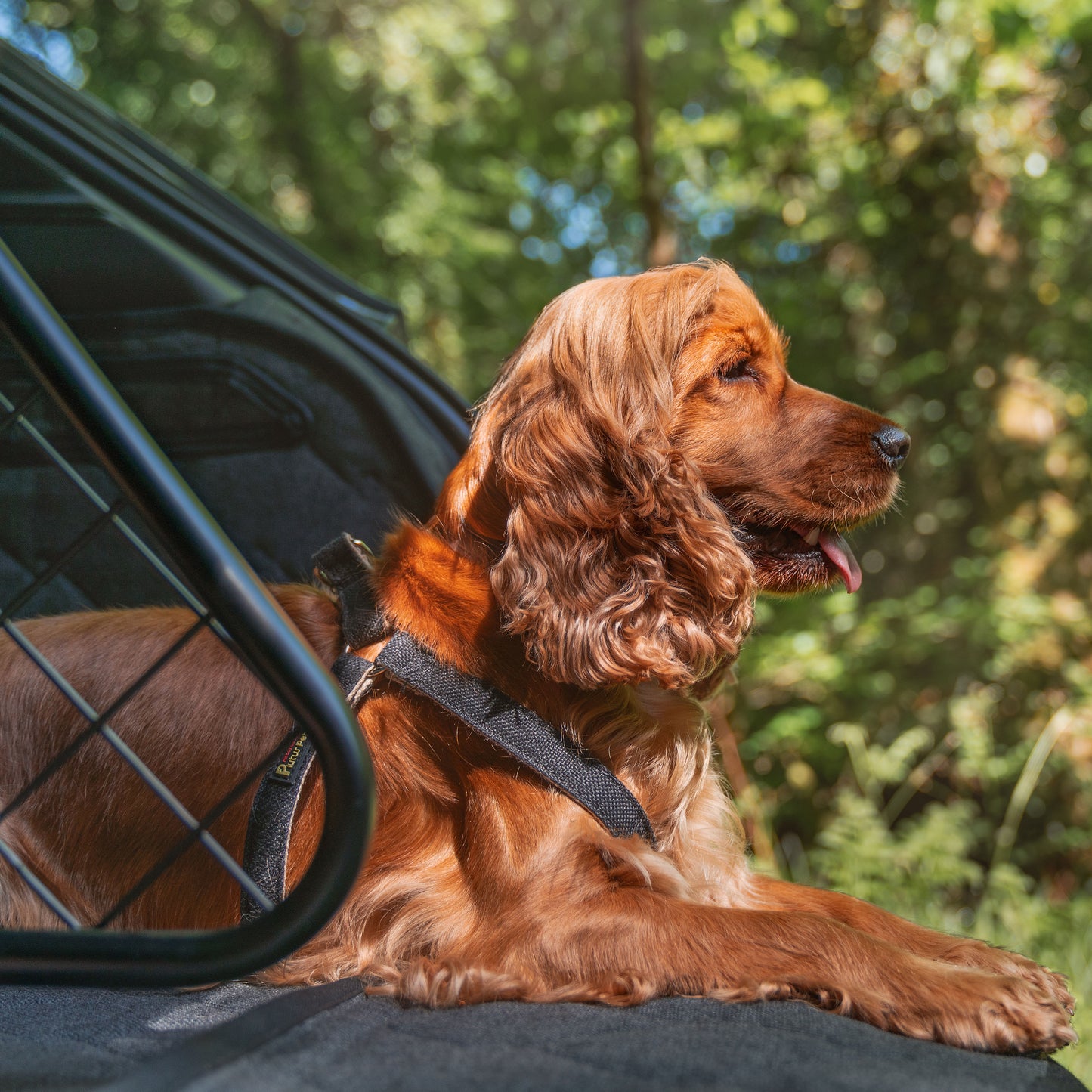 Bentley Bentayga Moveable Luggage Divider Partition