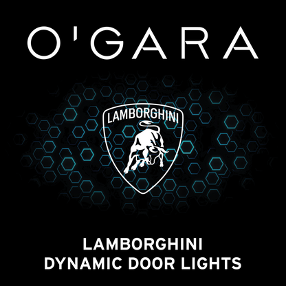 Lamborghini Dynamic Door Lights