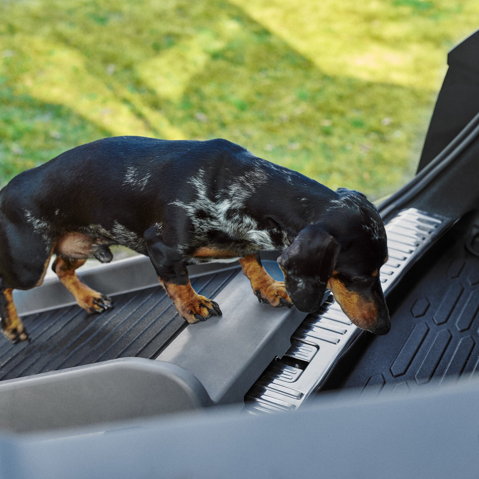 Trixie Rampe | Ramp For Small Dogs - Podgy Paws