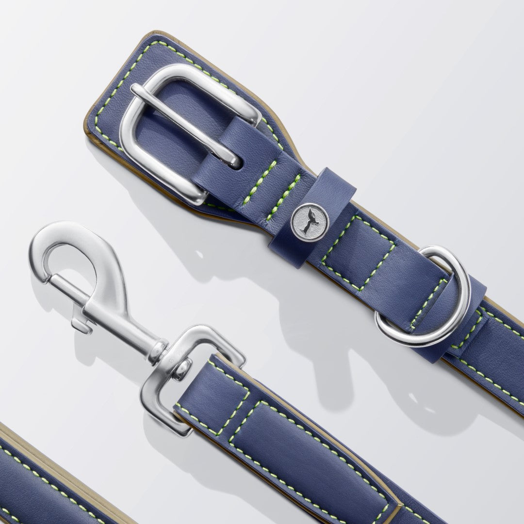 Rolls-Royce Dog Collar and Lead